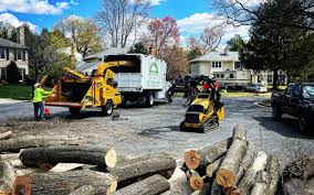 Ransom Canyon, TX Tree Removal and Landscaping Services Company